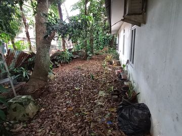 Rumah Lama Masuk Gang Area Jalan Pinang, 150 Meter Ke Pinang Raya