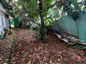 Rumah Lama Masuk Gang Area Jalan Pinang, 150 Meter Ke Pinang Raya