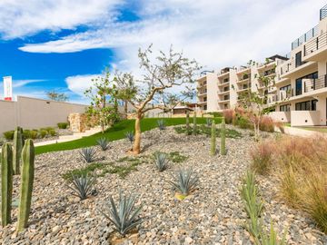 🏡 La Mar – Estilo, ubicación y vista al mar en El Tezal, Cabo San Lucas