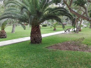 Loft con salida a parque