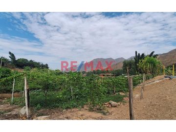 Vendo 1000 M2 Terreno Distrito Simbal - Cumbray A 5 Minutos De Pista