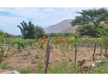 Vendo 1000 M2 Terreno Distrito Simbal - Cumbray A 5 Minutos De Pista