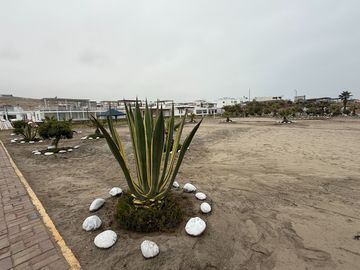 Vendo Terreno Residencial en Cerro Azul - Pto. Gallardo