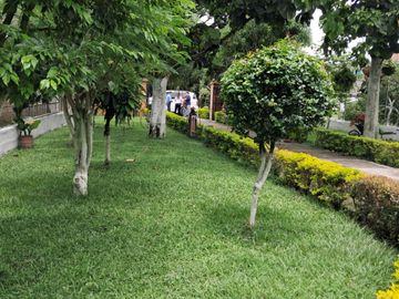 FN14 VENDO CASA FINCA EN CAMPO ALEGRE ANDALUCIA