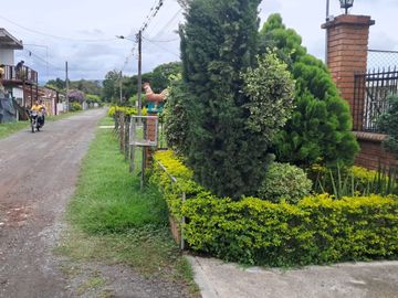 FN14 VENDO CASA FINCA EN CAMPO ALEGRE ANDALUCIA