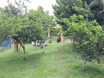 FN14 VENDO CASA FINCA EN CAMPO ALEGRE ANDALUCIA