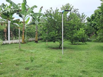 FN14 VENDO CASA FINCA EN CAMPO ALEGRE ANDALUCIA