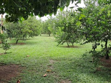 FN14 VENDO CASA FINCA EN CAMPO ALEGRE ANDALUCIA