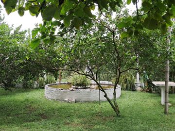FN14 VENDO CASA FINCA EN CAMPO ALEGRE ANDALUCIA