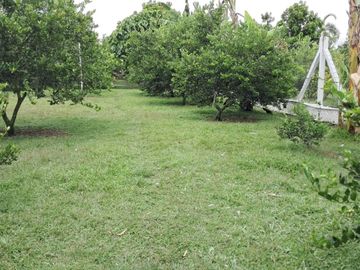 FN14 VENDO CASA FINCA EN CAMPO ALEGRE ANDALUCIA