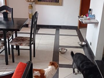 VENDO APARTAMENTO EN BOGOTA CERCA A ESTACION AV 26