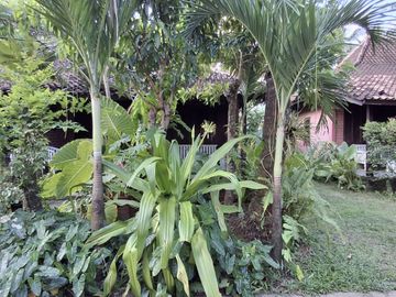 Hotel Resort di Ujung Genteng Sukabumi, Jawa Barat dengan view pantai