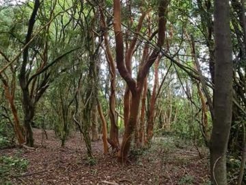 EN Venta Maravillosas Parcelas cercanas a Villarricacon luz, agua muy buen camino