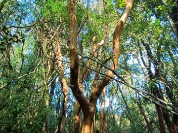EN Venta Maravillosas Parcelas cercanas a Villarricacon luz, agua muy buen camino