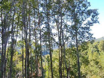 EN Venta Maravillosas Parcelas cercanas a Villarricacon luz, agua muy buen camino