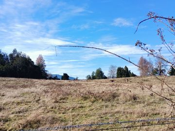 EN Venta Maravillosas Parcelas cercanas a Villarricacon luz, agua muy buen camino