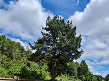 EN Venta Maravillosas Parcelas cercanas a Villarricacon luz, agua muy buen camino