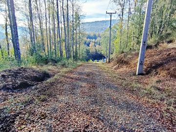 EN Venta Maravillosas Parcelas cercanas a Villarricacon luz, agua muy buen camino