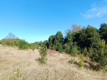 EN Venta Maravillosas Parcelas cercanas a Villarricacon luz, agua muy buen camino