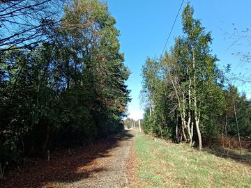 EN Venta Maravillosas Parcelas cercanas a Villarricacon luz, agua muy buen camino