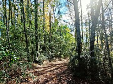 EN Venta Maravillosas Parcelas cercanas a Villarricacon luz, agua muy buen camino