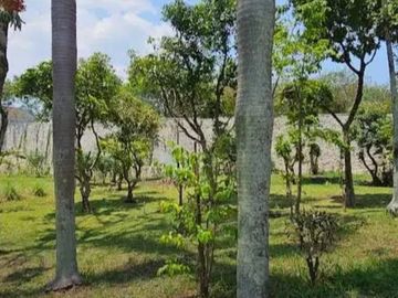 JUAL TANAH SUPER LUAS BONUS RUMAH SEPERTI VILLA – MAINROAD CIBABAT CIMAHI KOTA JAWA BARAT