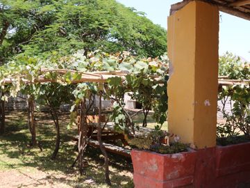 Fundo - Casa de campo en Caltopa - Cañete (camino a Lunahuaná)