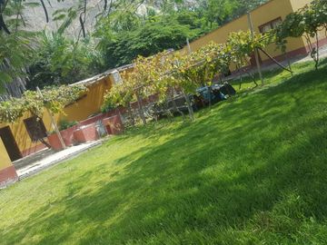 Fundo - Casa de campo en Caltopa - Cañete (camino a Lunahuaná)