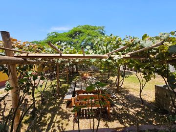 Fundo - Casa de campo en Caltopa - Cañete (camino a Lunahuaná)