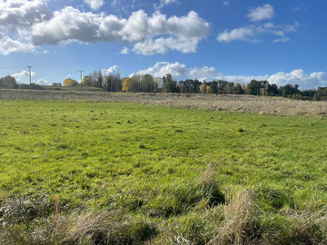 TITULO: VENTA DE TERRENO DE 5000M2, TRAFÚN