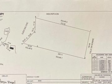 Venta de terreno de 70,000 m2 en Seye Yucatán