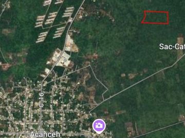 Venta de terreno de 70,000 m2 en Seye Yucatán