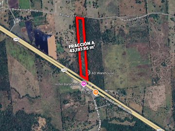 HECTÁREAS EN VENTA CARRETERA LA TINAJA SAYULA | ARLETTE FLORES