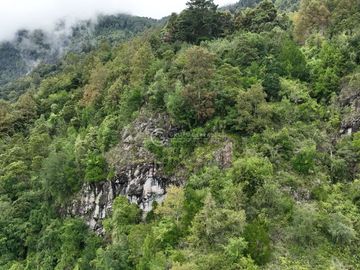 CAMPO 60 HA PLAYA EL ARENAL, LAGO RANCO