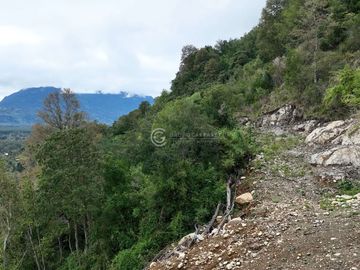 CAMPO 60 HA PLAYA EL ARENAL, LAGO RANCO