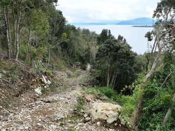 CAMPO 60 HA PLAYA EL ARENAL, LAGO RANCO