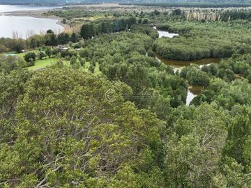 CAMPO 60 HA PLAYA EL ARENAL, LAGO RANCO