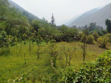 VENTA DE TERRENO EN SANTA EULALIA, PALLE