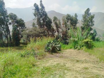 VENTA DE TERRENO EN SANTA EULALIA, PALLE