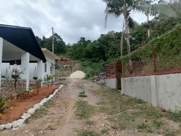 APARTMENT UNIT FOR SALE IN SAN JUAN SIQUIJOR SIQ0161