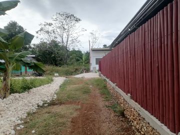APARTMENT UNIT FOR SALE IN SAN JUAN SIQUIJOR SIQ0161