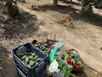 🌅 ¡Tu Refugio Soñado Te Espera Fuera Del Bullicio! 🌿
