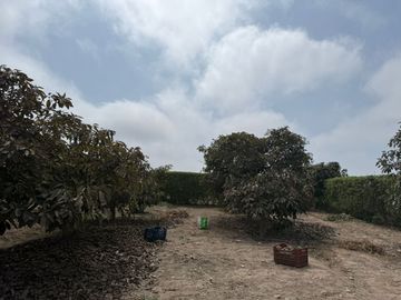 🌅 ¡Tu Refugio Soñado Te Espera Fuera Del Bullicio! 🌿