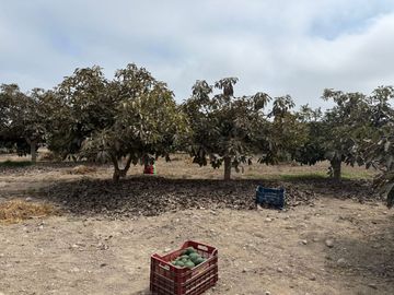 🌅 ¡Tu Refugio Soñado Te Espera Fuera Del Bullicio! 🌿