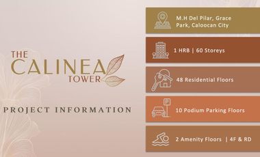 16K MONTHLY STUDIO PRESELLING CONDO IN CALOOCAN CITY CALINEA TOWER payable in 40months