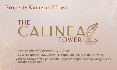 16K MONTHLY STUDIO PRESELLING CONDO IN CALOOCAN CITY CALINEA TOWER payable in 40months