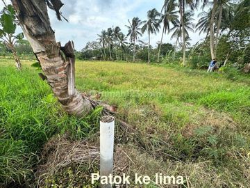Tanah Komersil Untuk Resort dan Cottage di kawasan Pantai Carita, Pandeglang Luas 43800 m2 siap Pakai