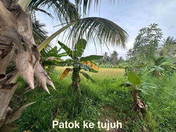 Tanah Komersil Untuk Resort dan Cottage di kawasan Pantai Carita, Pandeglang Luas 43800 m2 siap Pakai
