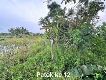 Tanah Komersil Untuk Resort dan Cottage di kawasan Pantai Carita, Pandeglang Luas 43800 m2 siap Pakai