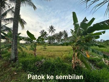 Tanah Komersil Untuk Resort dan Cottage di kawasan Pantai Carita, Pandeglang Luas 43800 m2 siap Pakai